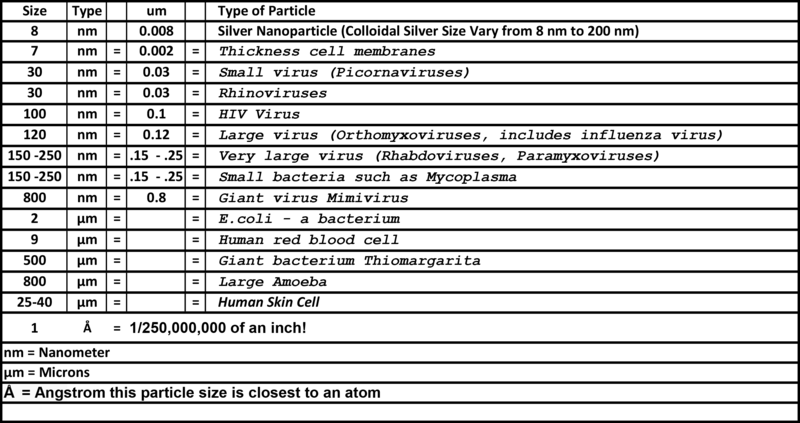 Virus and Bacteria Size