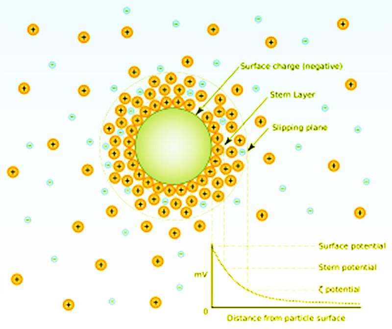 Zeta Potential in a nutshell