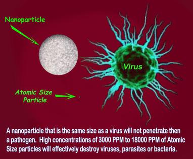 Silver atoms can penetrate pathogens better than nanoparticles